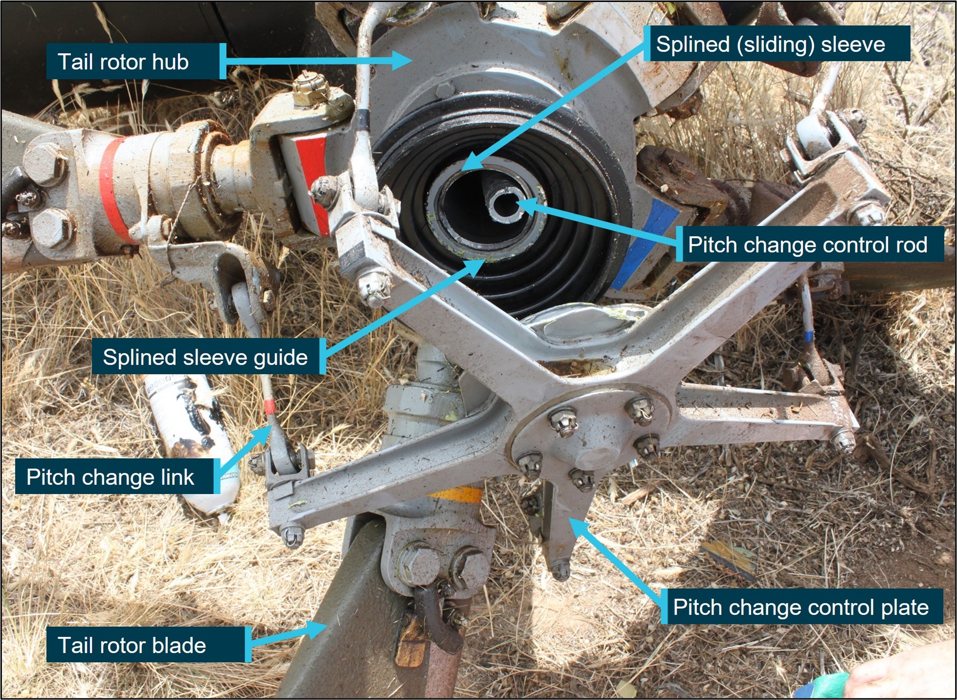 Tail rotor assembly with separation of pitch change control plate from gearbox.