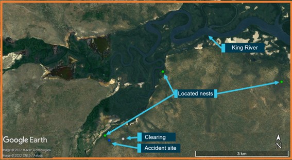 Figure 12: Inset from Figure 11 showing nests in the vicinity of the accident site with the status of ‘located’ on the Crocpad data