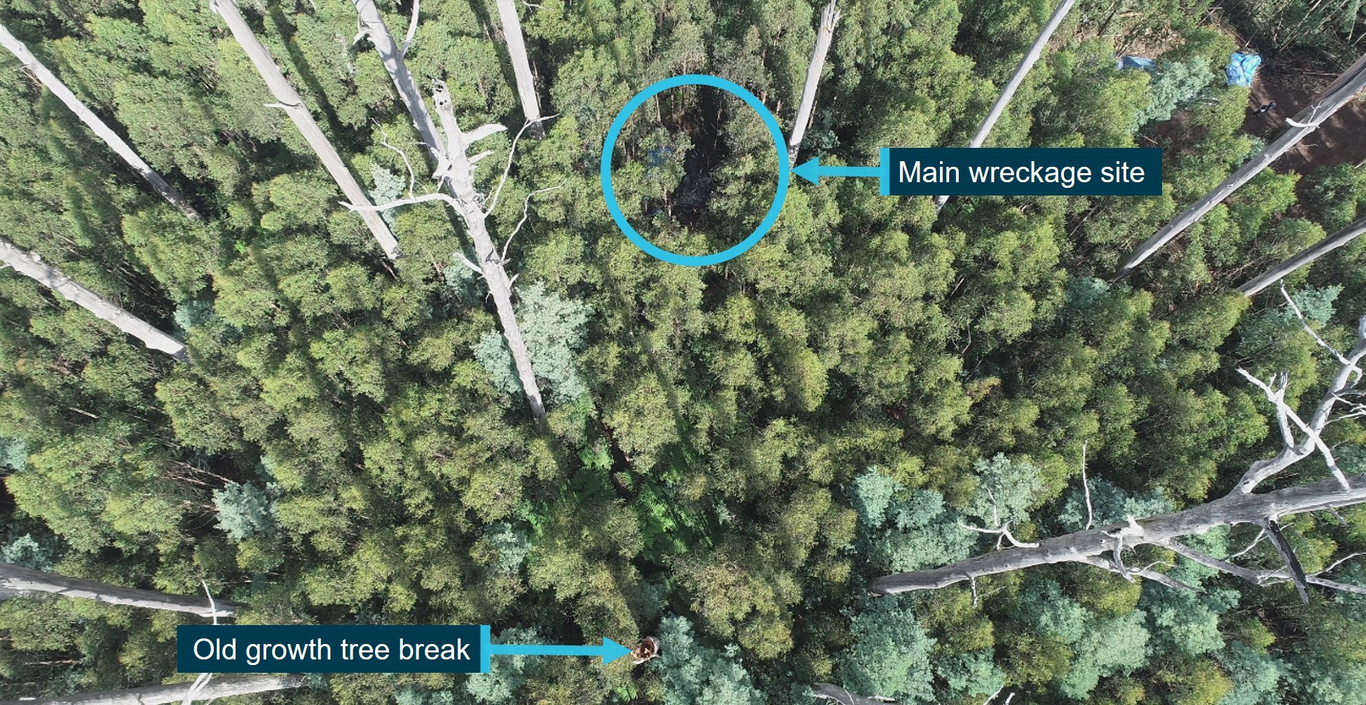 Figure 7: Overhead view of old growth tree break and main wreckage site