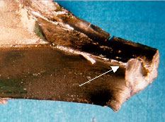 Figure 9. Bearing cage fracture surfaces showing evidence of fatigue cracking.