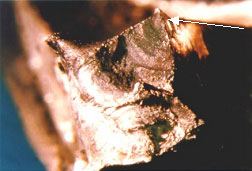 Figure 10. Bearing cage fracture surfaces showing evidence of fatigue cracking.