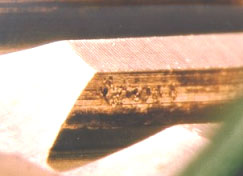 Figure 20. Pitting found on coupling gear and shaft spline teeth.