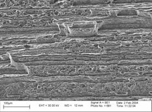 figure 6 Scanning electron micrographs showing the features of the ductile fracture region