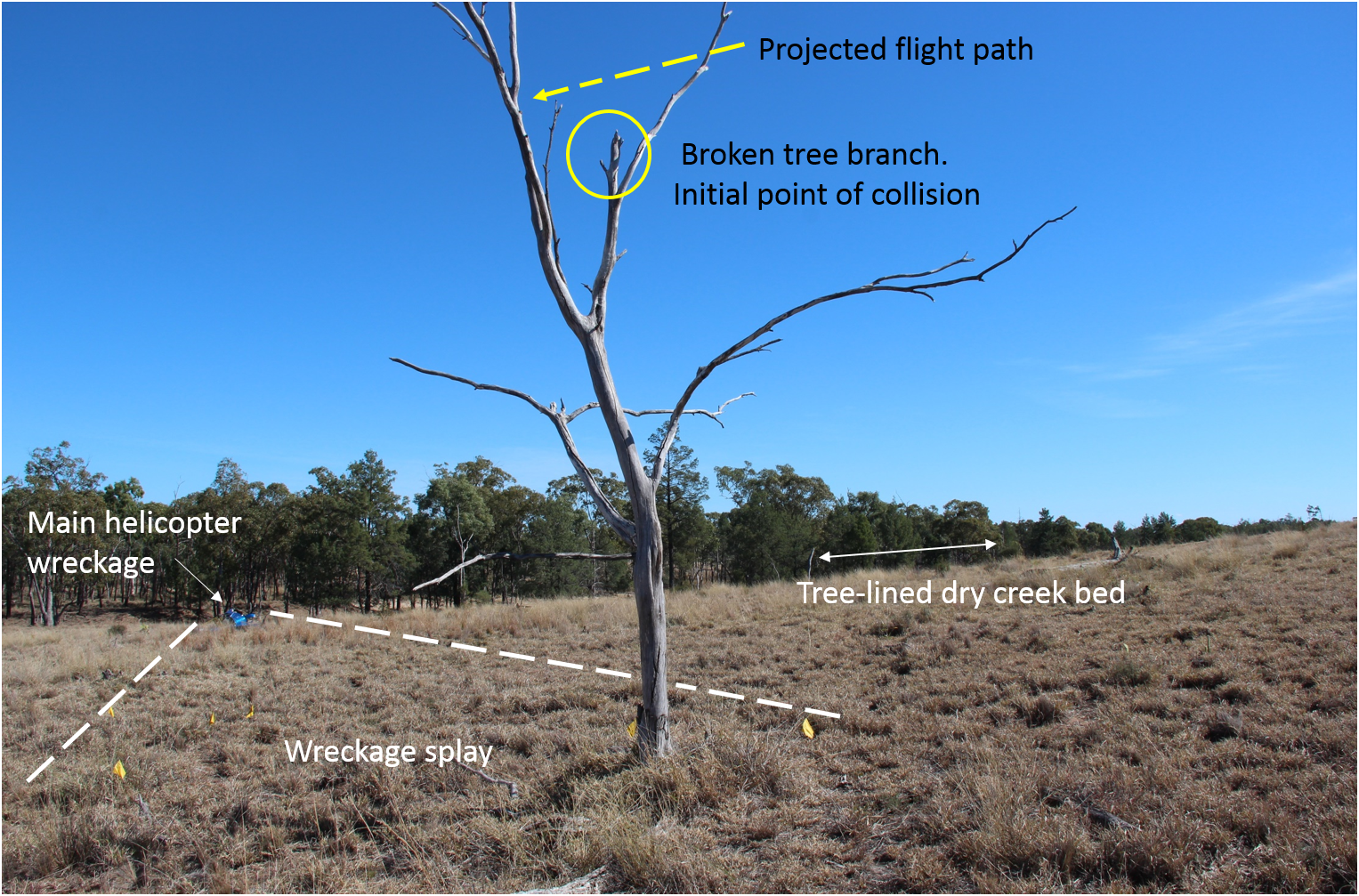 Figure 2: Helicopter flight path looking to the west. The estimated right-to-left flight path (indicated by a yellow dashed arrow) is derived from the impact point with the dead and defoliated tree and the position of the main helicopter wreckage