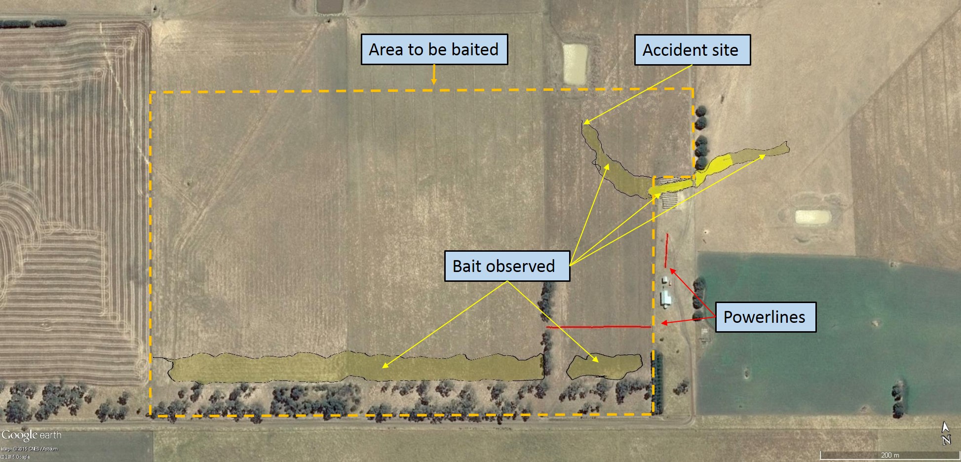 Figure 2: Area to be baited (outlined by the yellow dashed line), with dispensed bait shaded in yellow and higher-concentration bait shown as bright yellow