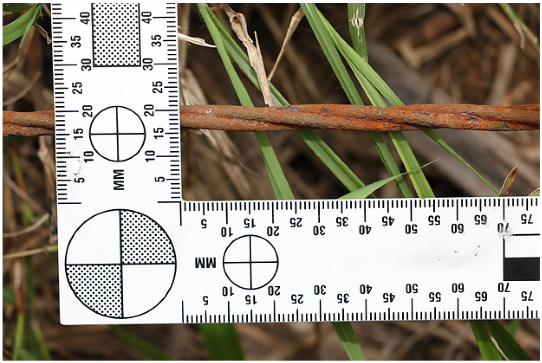 Figure 2: Power cable consisting of three steel wires twisted together (note the rust-like discolouration)