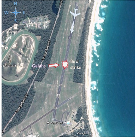 Figure 1: Moruya Airport showing aircraft and galah flock direction of travel and approximate impact point