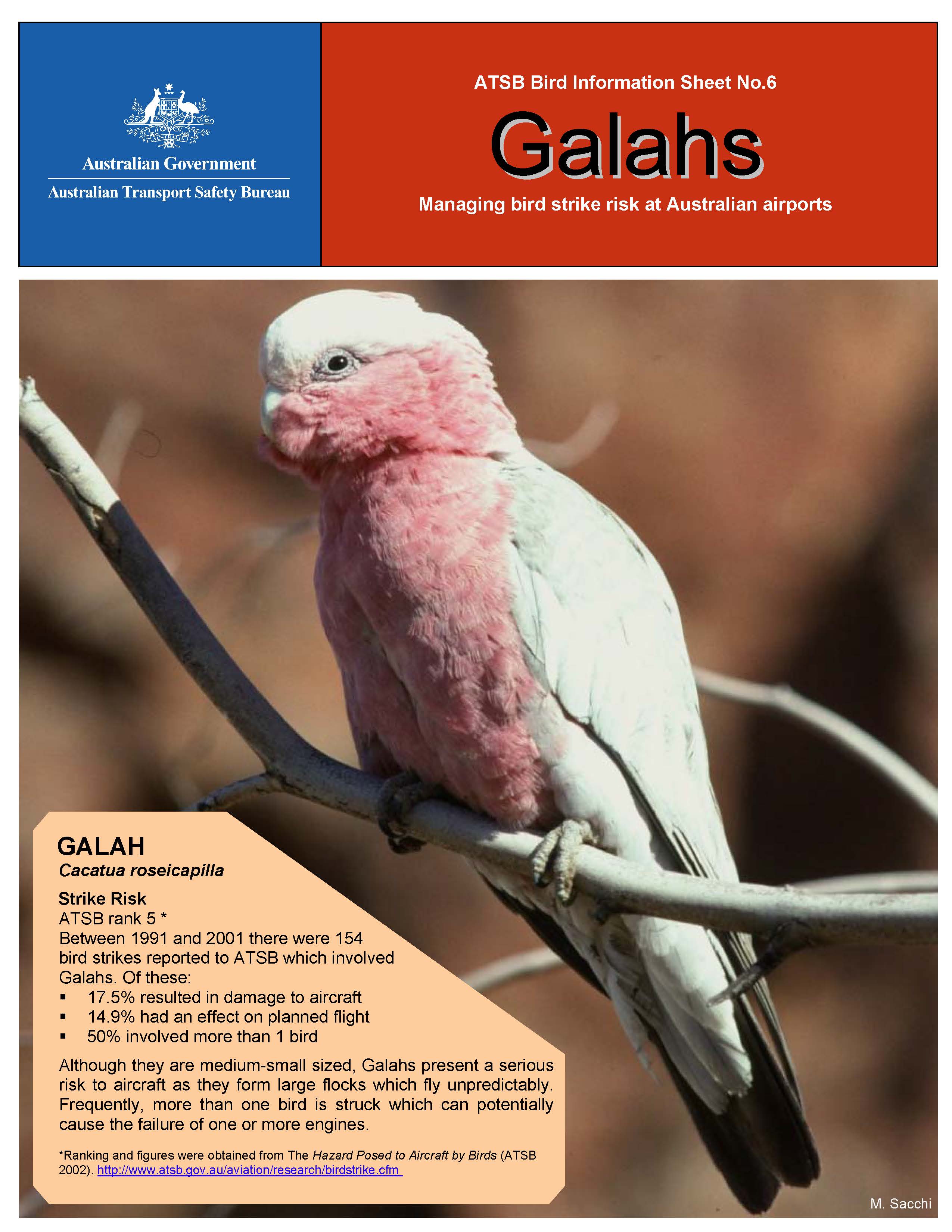 ATSB Bird Information Sheet No 6