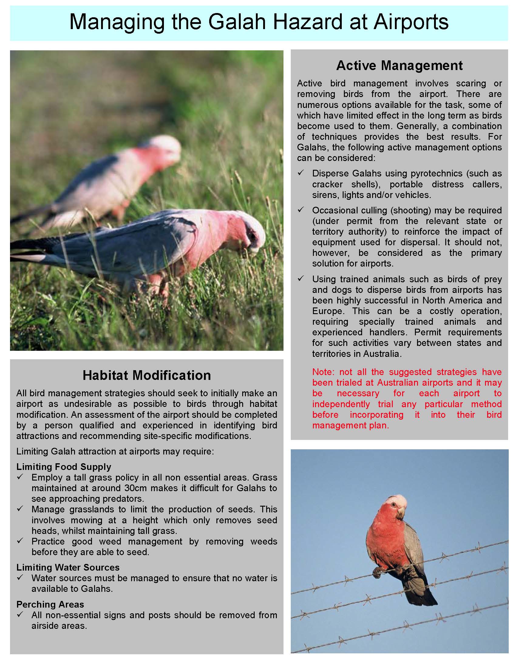 ATSB Bird Information Sheet No 6