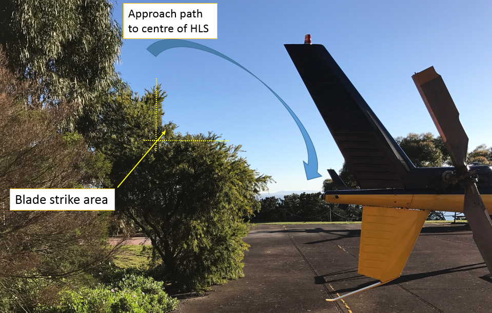 Figure 3: Encroaching bush in the HLS and the main rotor blade strike area