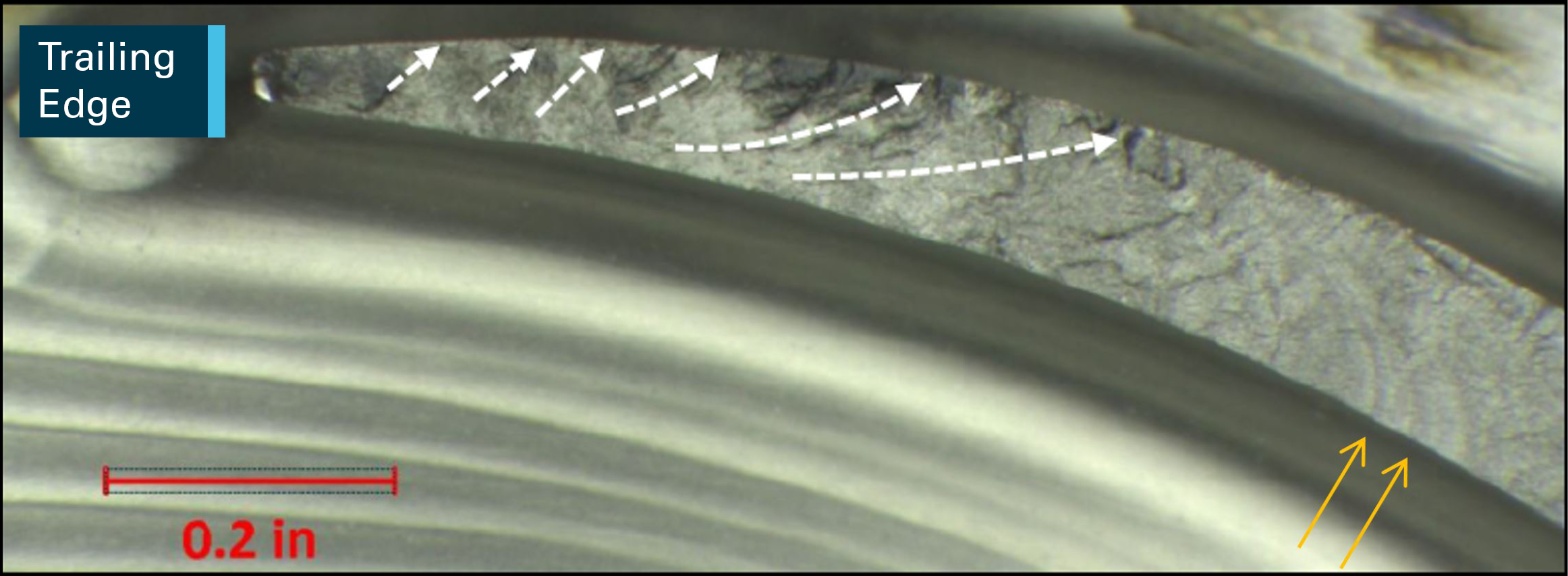 Figure 3: Magnified view of the aerofoil fracture surface. Aerofoil fracture surface showed crack progression lines from the trailing edge (white dashed arrows) along with beach marks (yellow arrows) which were indicative of a fatigue failure mechanism.<br />
Source: Pratt & Whitney Canada