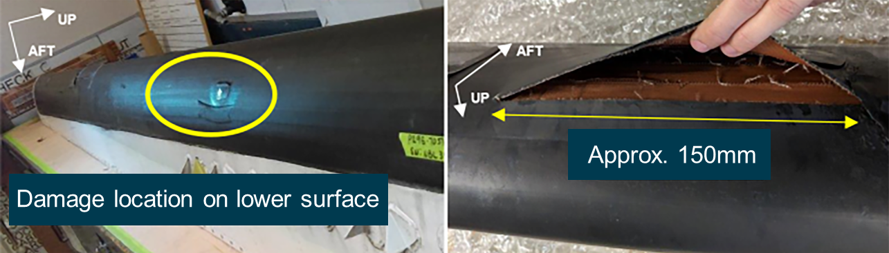 Figure 1: Photo of the damaged de-icing boot