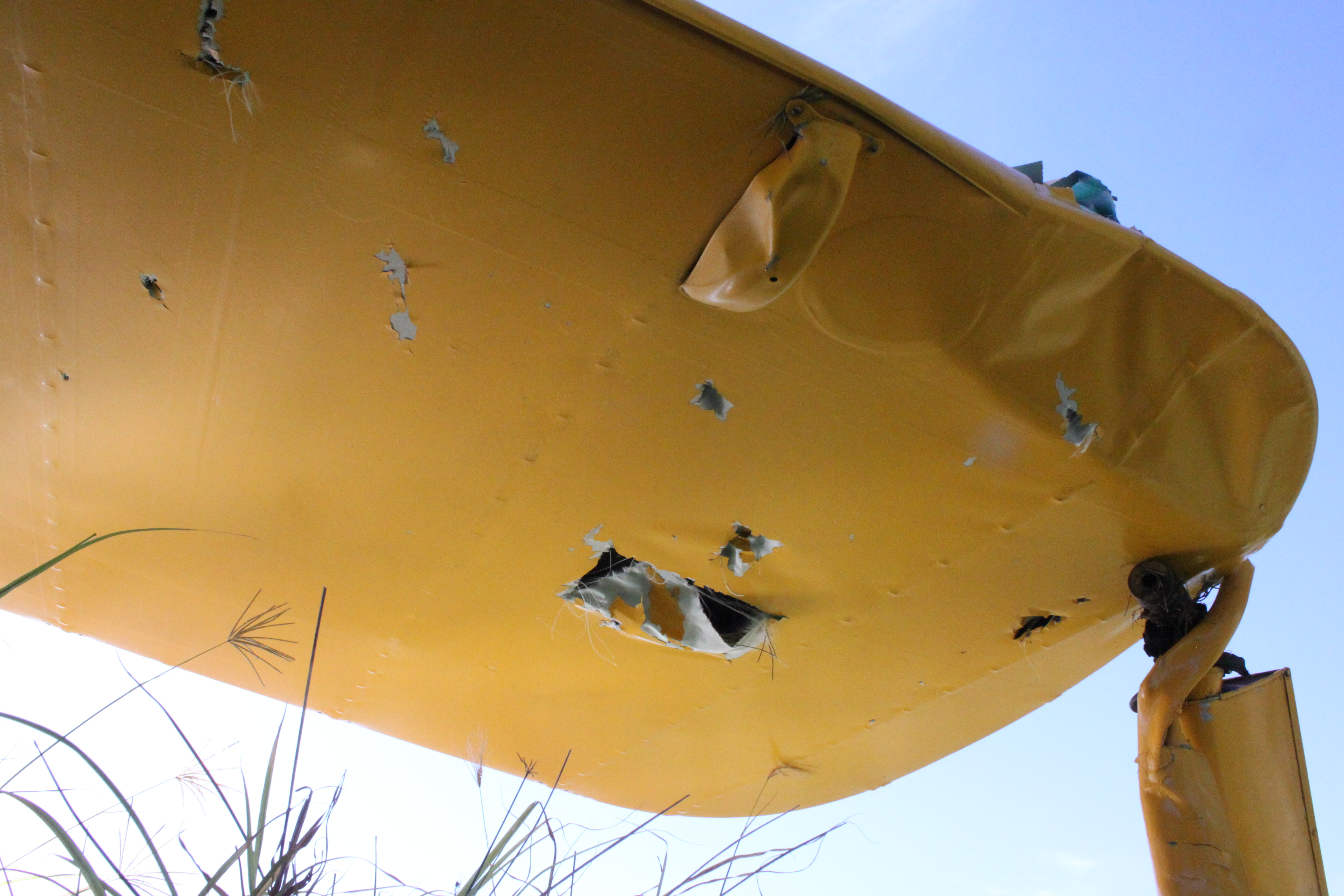 Figure 4: Tree impact marks on underside of upper left wing. Source: ATSB