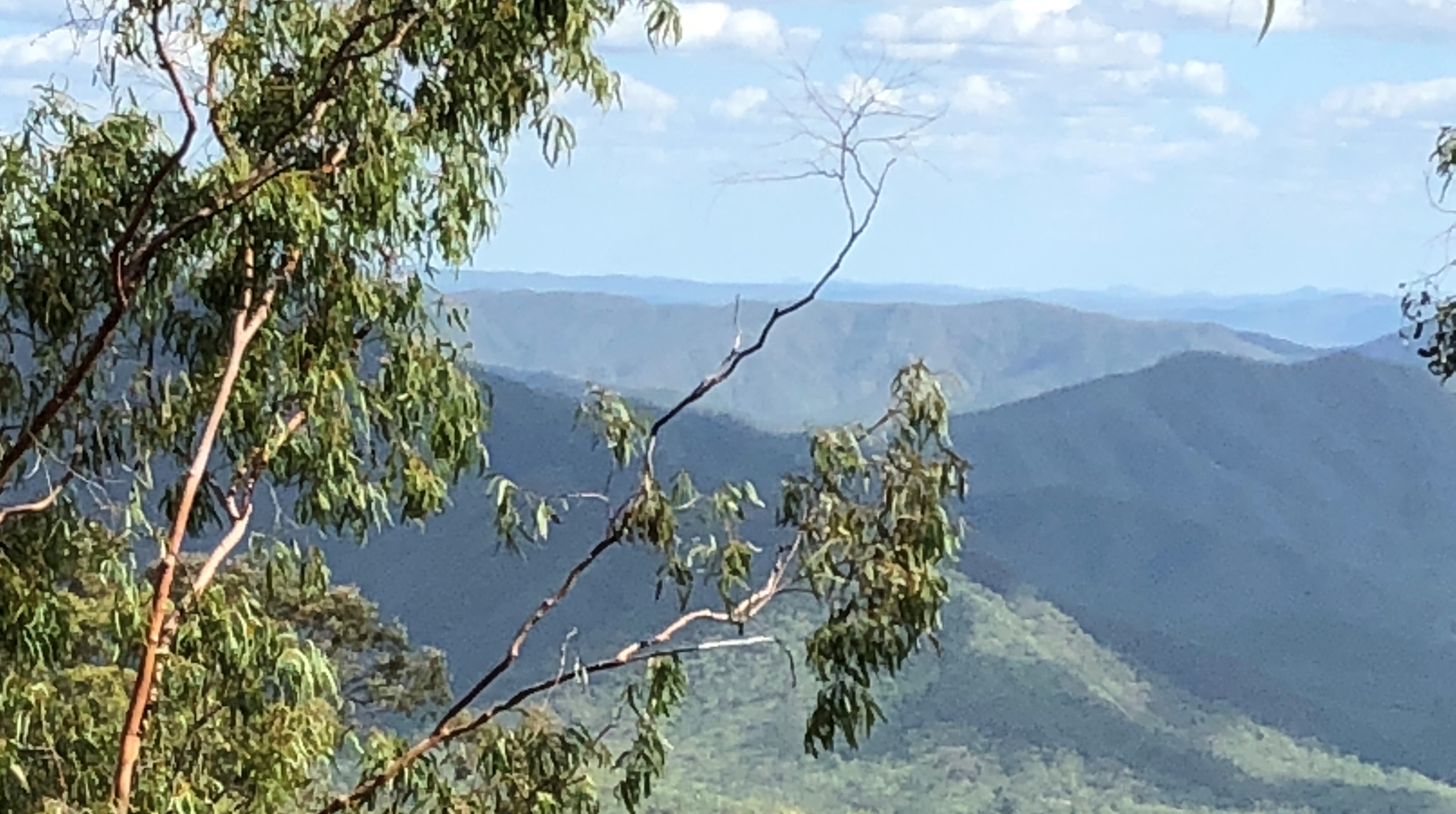 Figure 3: Image of the local terrain with a view towards the south-east. View towards the south-east, the direction of the forecast wind, at about 3,000 ft elevation. The helicopter wreckage was located further inland behind the photographer at an elevation of about 3,500 ft, with surrounding peaks of about 4,500 ft.<br />
Source: ATSB