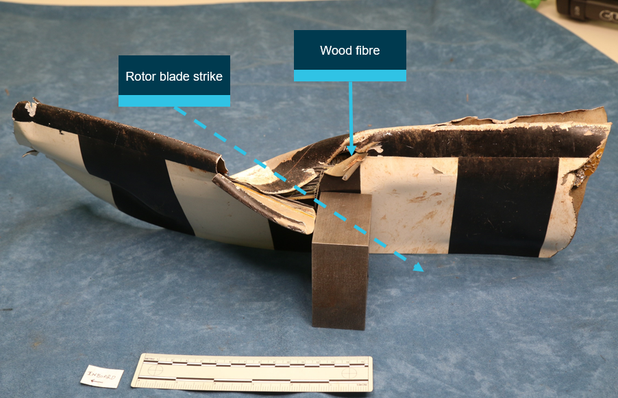 Figure 8: Tail rotor blade impact damage. Tail rotor blade 1 with strike damage consistent with the leading edge of a main rotor blade.<br />
Source: ATSB