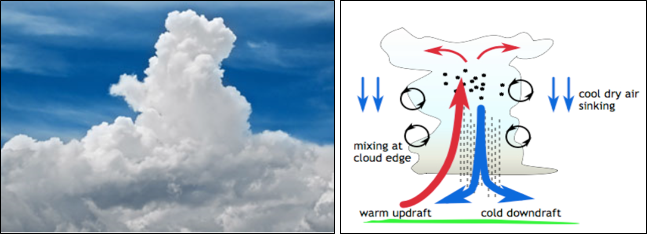 Figure 4: A towering cumulus (left) and the typical cycle of up- and down-drafts (right). Source: namesofclouds.com and kiwi.atmos.colostate.edu