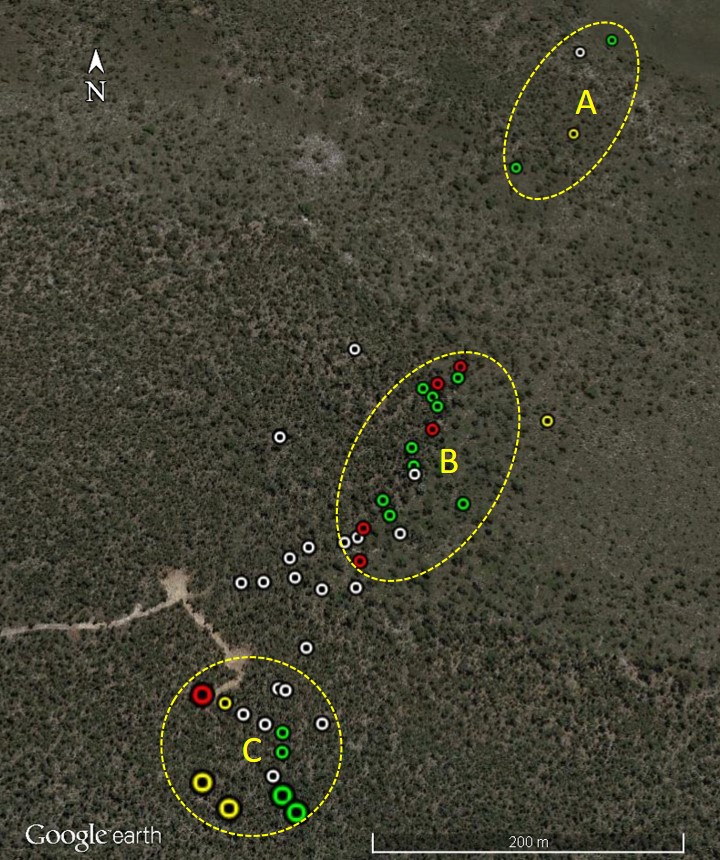 Figure 3: Wreckage plot. Source: Google Earth (modified by the ATSB). Source: Google Earth (annotated by the ATSB). Please note that the cleared areas evident near zone C were established in response to the accident.