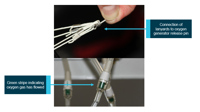 Figure 4: Release pin and lanyards (top) and hose connection (bottom). Source: ATSB