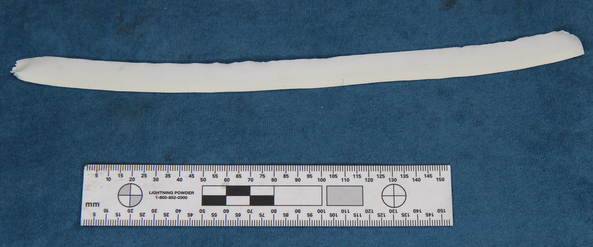 Figure 8: A section of sealant removed from a drum base.<br />
Source: ATSB