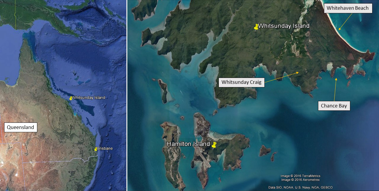 Figure 1: Google Earth overview showing Whitsunday Island location    Source: Google Earth, modified by the ATSB