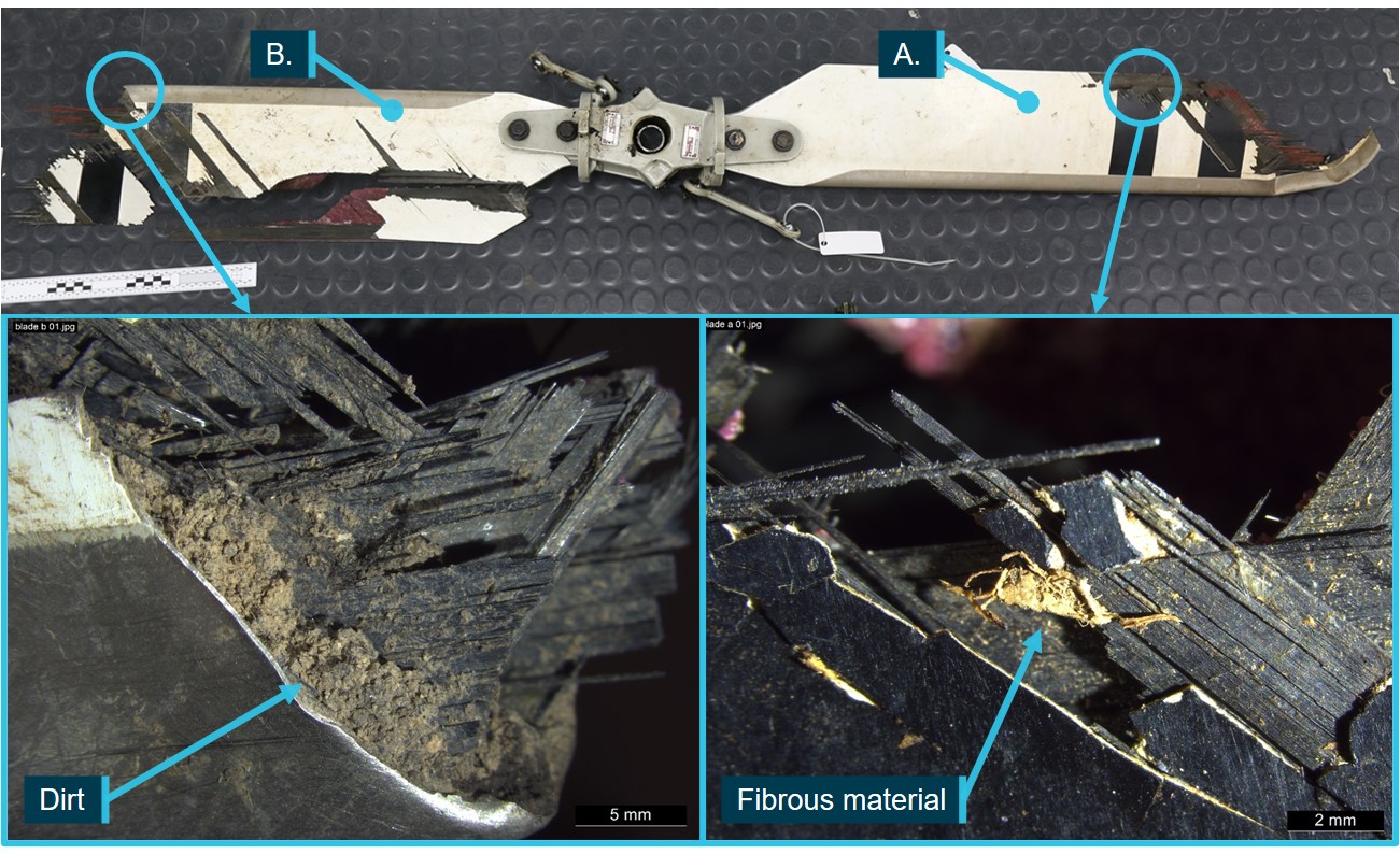 Figure 3: Tail rotor damage showing fibrous material and dirt within the blade structure