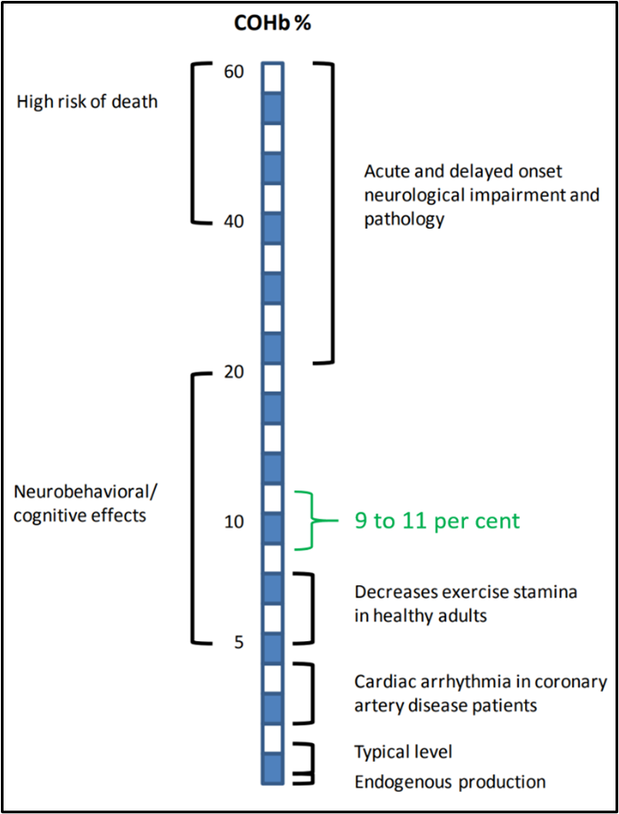 Adverse health effects of CO