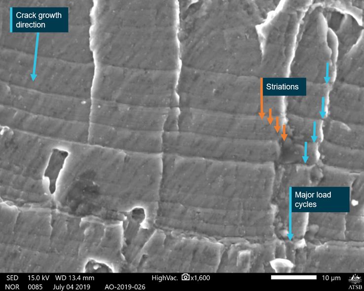 Figure A5: Scanning electron microscopy of the fatigue fracture surface