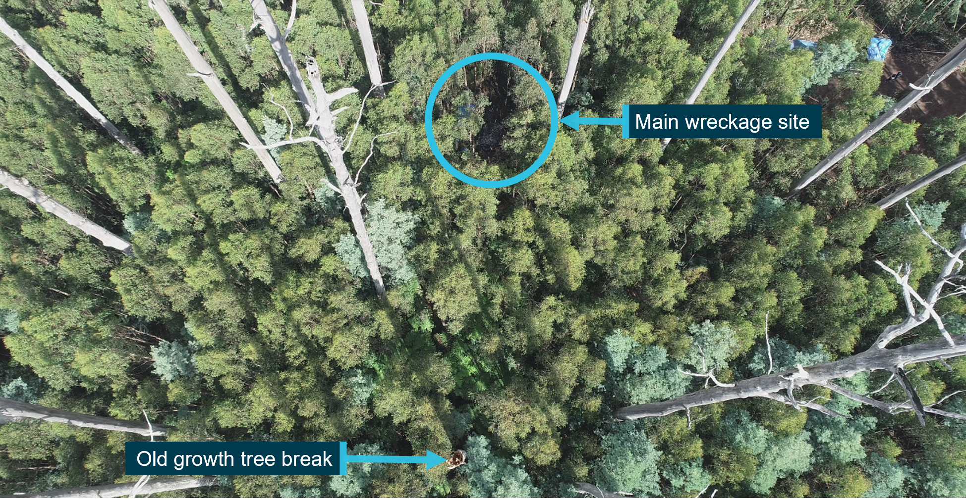 Figure 4: Overhead view of old growth tree break and main wreckage site