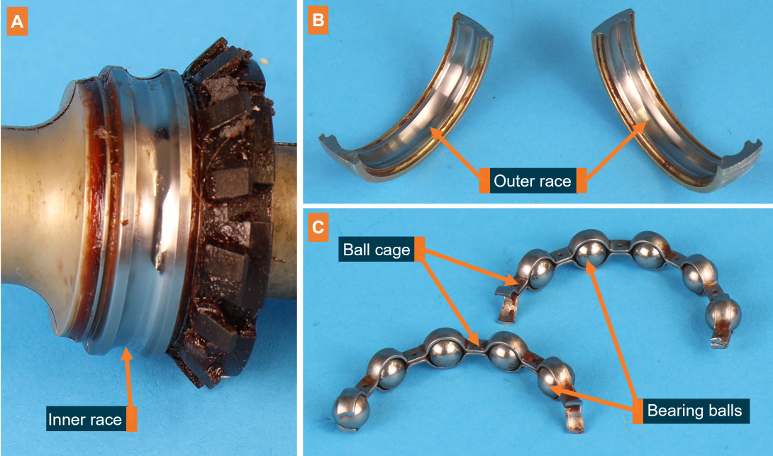 Figure 3: The aft fan shaft bearing, sectioned and disassembled.