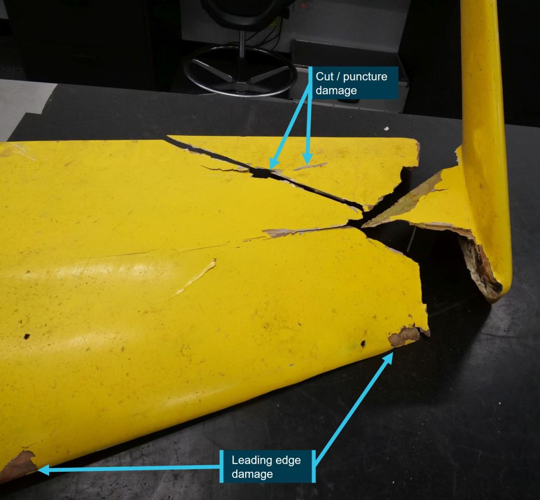 Figure 8: Damage to upper skin of left horizontal stabiliser