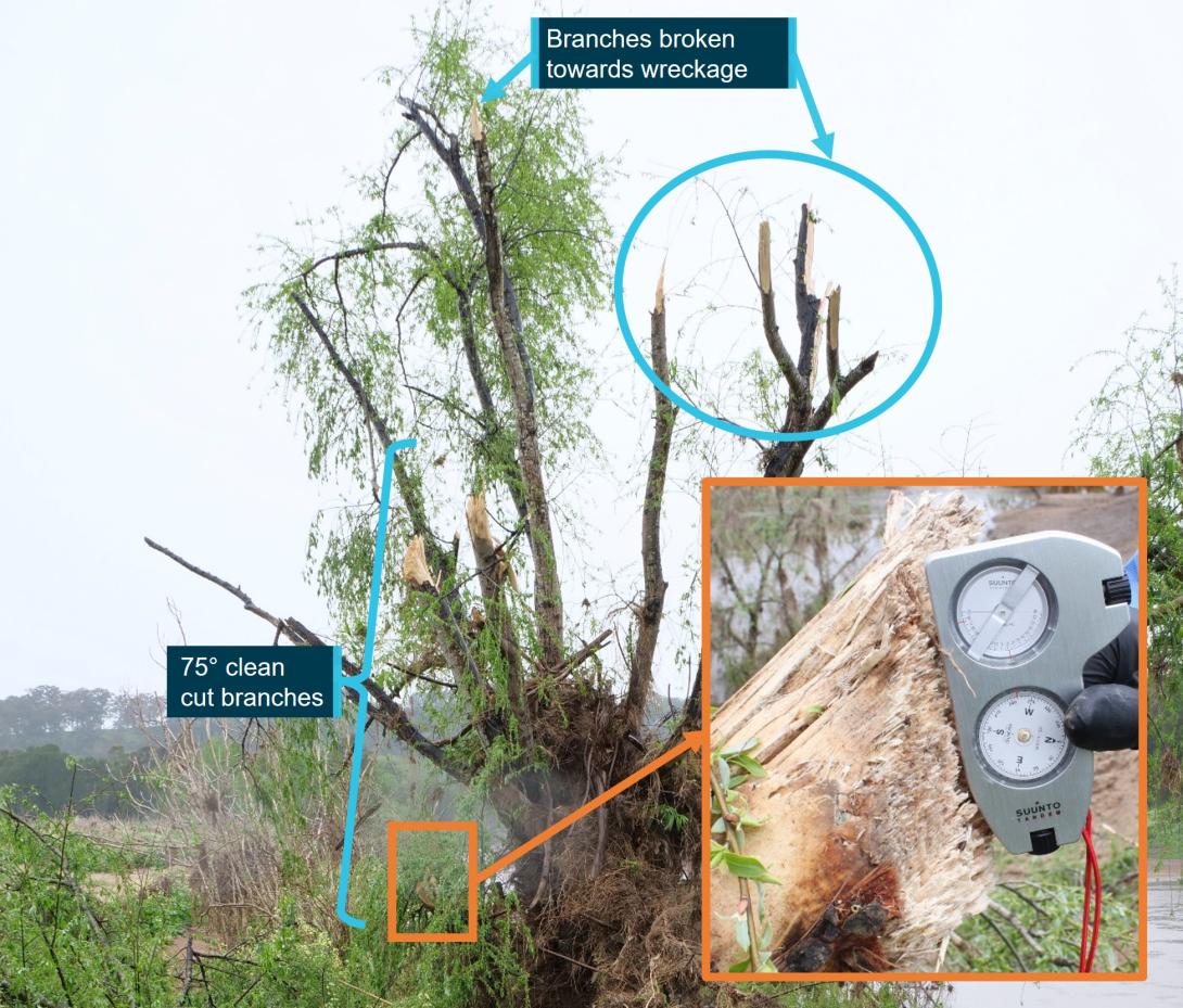 Figure 6: Initial impact tree