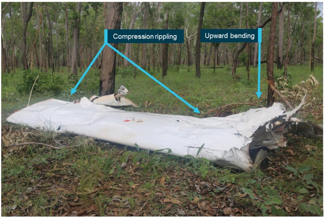 Figure 10: The right wing showed compression rippling of the upper skin surface and permanent deformation from exposure to upward bending 