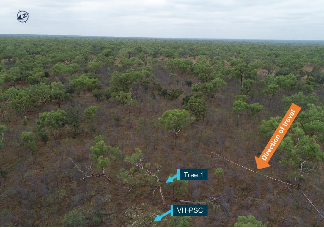 Figure 5: Site location, showing surrounding vegetation