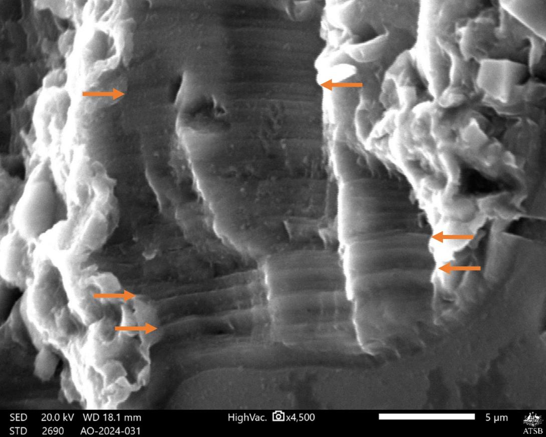 Figure 7: Microscopic striations (arrowed) were identified on the steering link fracture surface within the region of the pre-existing defect